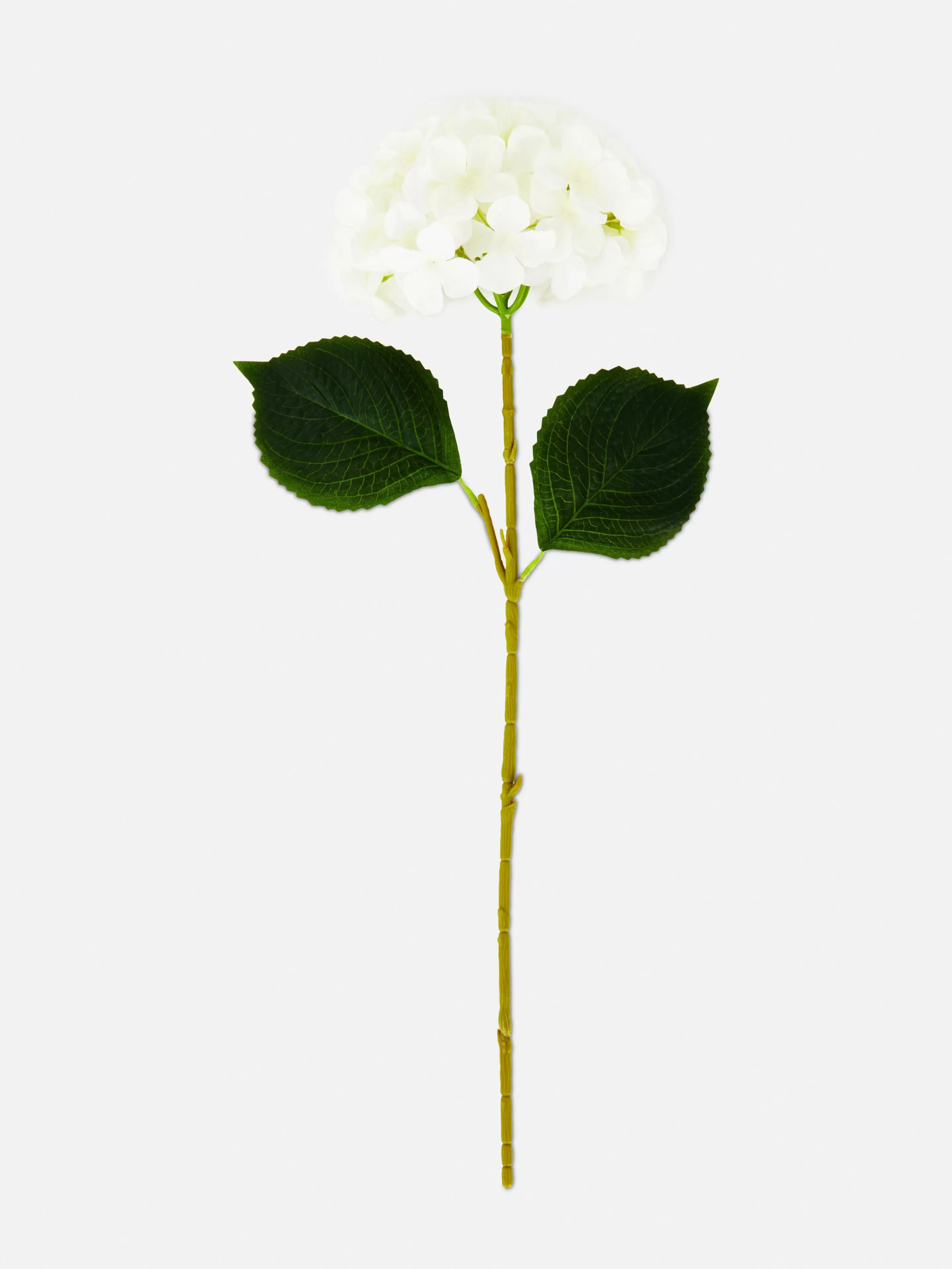 Primark Ortensia Bianca Artificiale - Pianta Decorativa con Stelo Singolo per Interni, Fiori Finti Eleganti per Arredamento Casa, Durevole e Realistica